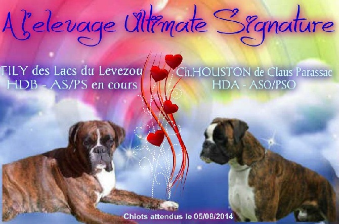 De claus parassac - SAILLIE HOUSTON X FILY DES LACS DU LEVEZOU